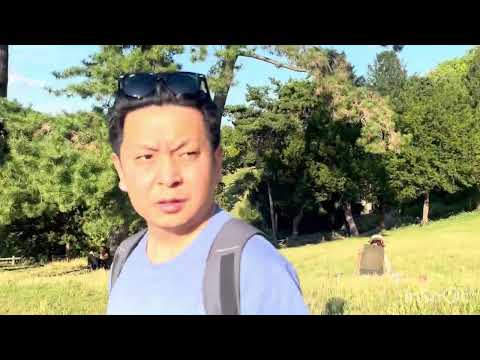 Exploringpark#in the middle of paris#france