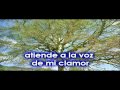 Salmos 5.wmv