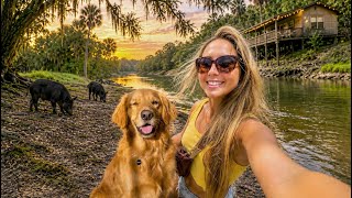 Family Fossil Hunting on the Peace River! Shark Teeth & Wild Hogs