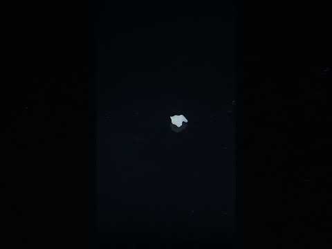 YouTube 썸네일