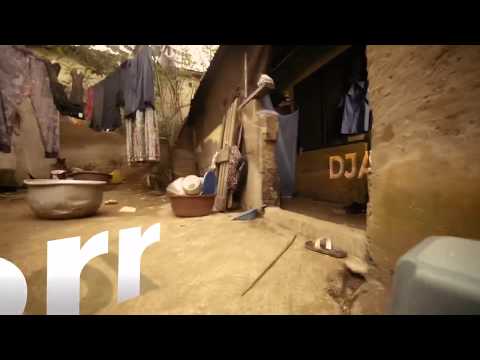 D Jay - Bo Norr ( Official Music Video )