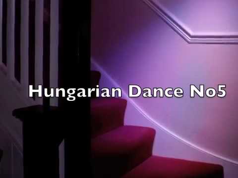 Hungarian Dance No5    Brahms   on a Beltuna accordion