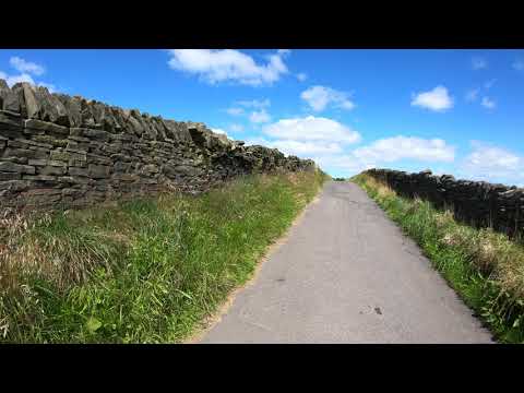 Dean Wood Netherton 4K (walk) 19 July 20 (10)