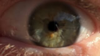 Tim Pool And Lila Rose Are Feminists Too (We All Are) 