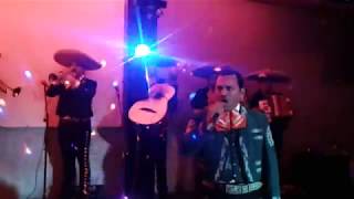 Video de MARIACHI DE CUCUTA LUZ DE LUNA
