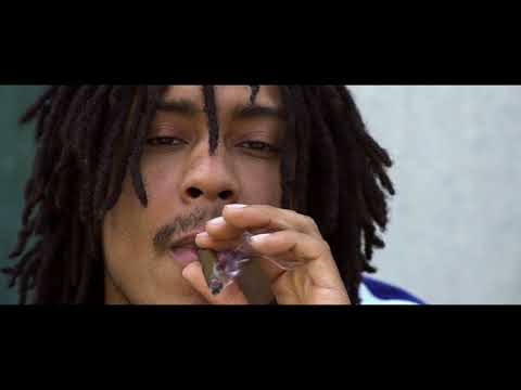 BEE MFKN HUSTLE - Survive & Profit ( Official Video ) Shot By @VickMont