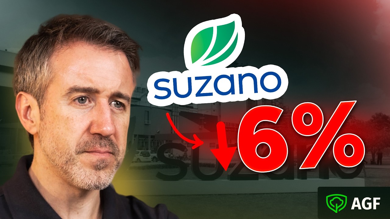 O relatório que derrubou as ações da Suzano (SUZB3)