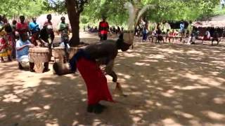 Download lagu Giriama New Wave !! Chengo is Dancing Kiganga !! mp3 Download lagu Giriama New Wave !! Chengo is Dancing Kiganga !! mp3