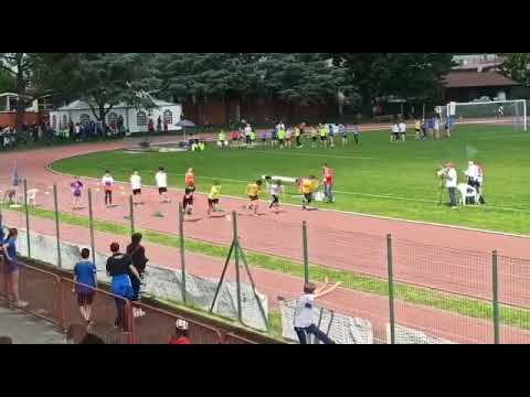 Aspes piccola falsa ma ti riparte