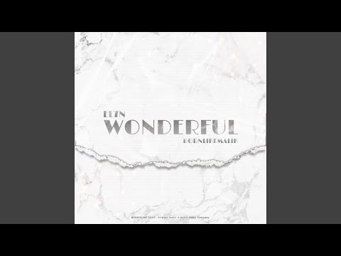 Wonderful (feat. Bornlikemalik)