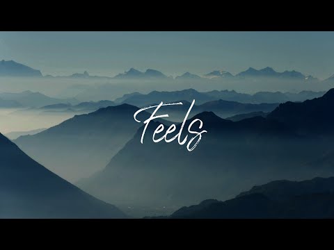 Mufasa Rex × Prachi - Feels ( Animated Music Video)