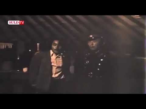 Тэнгэрийн муухай арилдаг 2