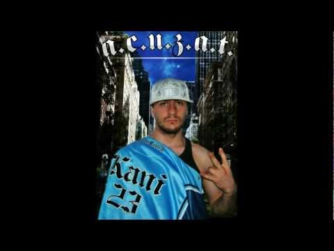 A.C.U.Z.A.T.-PLINA DE FITE (REMAKE)