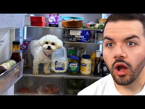 Ranking My Viewers WORST Fridges!