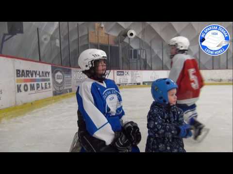 PojdHratHokej Hořovice 2017