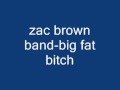 zac brown band-big fat bitch 