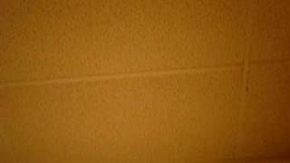 Foward Motion - Relient K