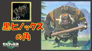 【ゼルダの伝説ティアキン】「黒ヒノックスの角」が回収できる場所を紹介！近場で4個集められます！