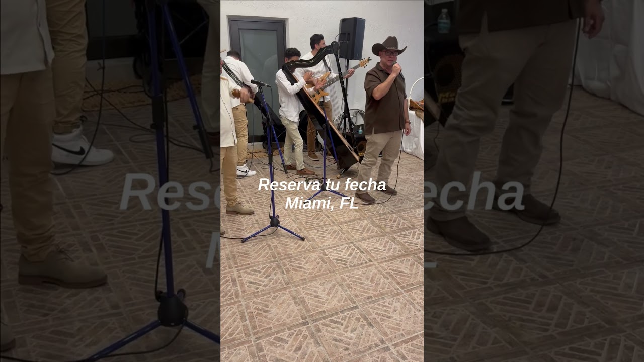 Promotional video thumbnail 14 for Live Violinist