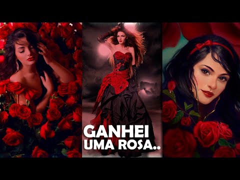 Cantiga de Pombo Gira - Rosa Vermelha🌹❤️