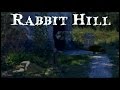 The Hell Kind Of Ending Is This Rabbit Hill Final