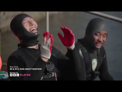 Ed and Ryu: Mad About Seafood | New Series | BBC Player