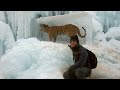 10 Animals Found Frozen In Ice
