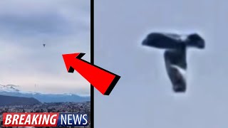 What The HECK? Biblical UFO? They're Not Hiding Anymore! 2024