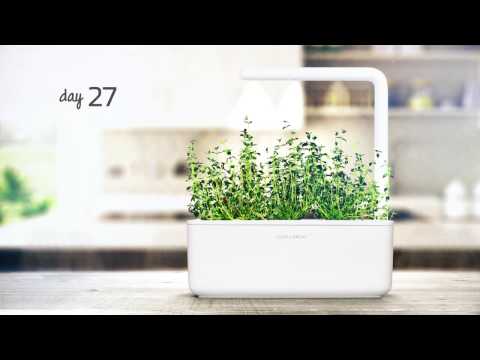 Click and Grow Smart Home 3 vnt. papildymas - čiobrelių sėklos video