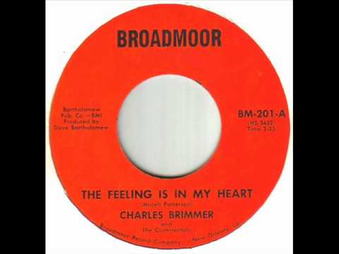 Charles Brimmer - The Feeling Is In My Heart.wmv