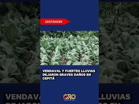 Emergencia en Cepitá: vendaval destechó viviendas y dañó cultivos | Oro Noticias