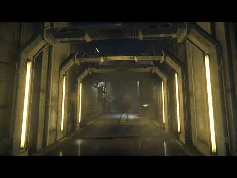 Star Citizen Arkham 18 Loop 1