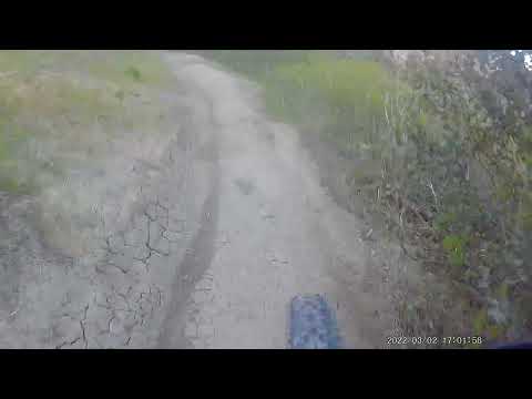 2022 0302 165837 002