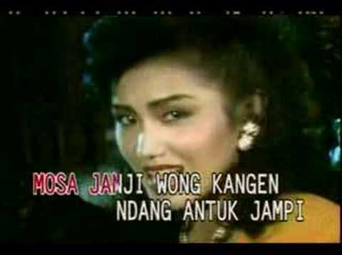 kangen... evie tamala