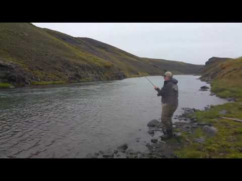 Stórlax í Efri-Valhyl í Víðidalsá