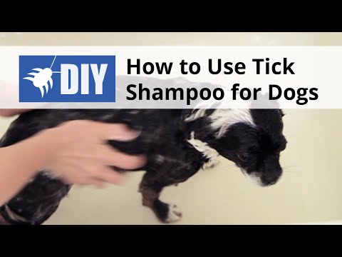  How to use Tick Shampoo for Dogs Video 