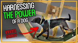 Dog Power?