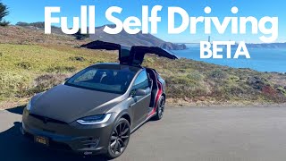 Tesla Full Self Driving Beta Reaction