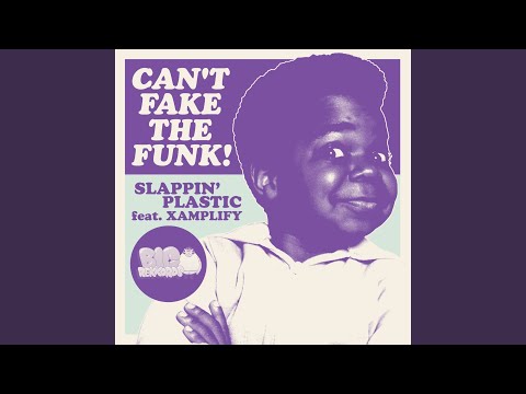 Can't Fake the Funk (Slappin Plastic Vip)