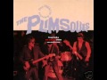 The Plimsouls - now (live)