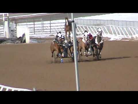 HADLEY RACING & C3 VS JENSEN ROPELATO & PADGETT