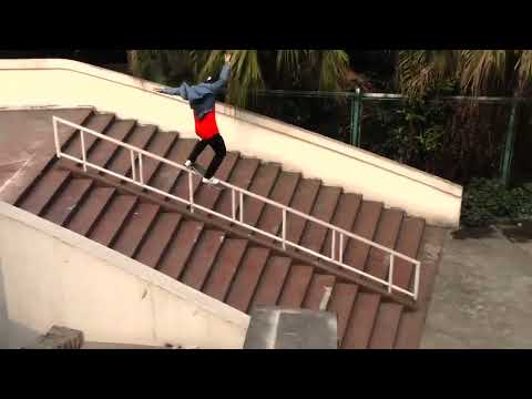 Nike SB Shane O'Neill Levels