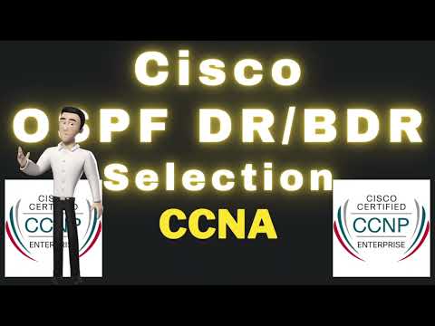 How to configure CISCO OSPF DR BDR Election | CCNA | CCNP