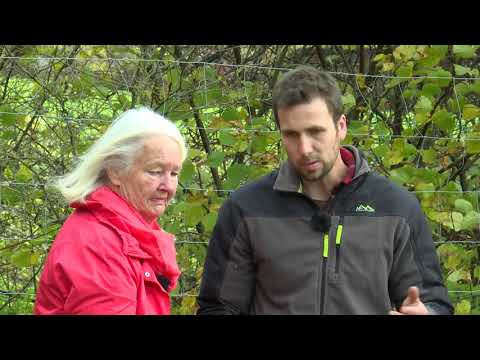 Elfi Geiblinger zu Gast am Ennsmanngut in Unken