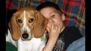 Max the Beagle (All I Really need) by Raffi
