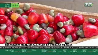 Miniatura do vídeo