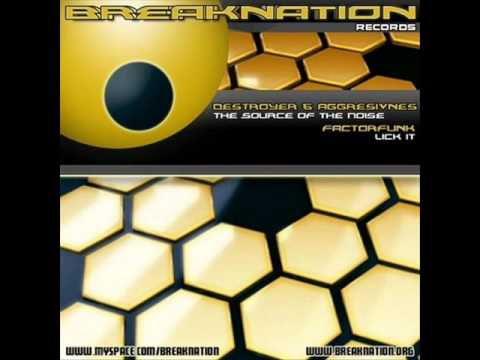 Destroyers vs Aggresivnes - The Source Of Noise