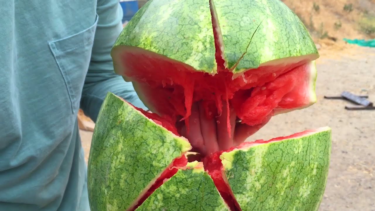 4 Surprising Things That Stop Bullets