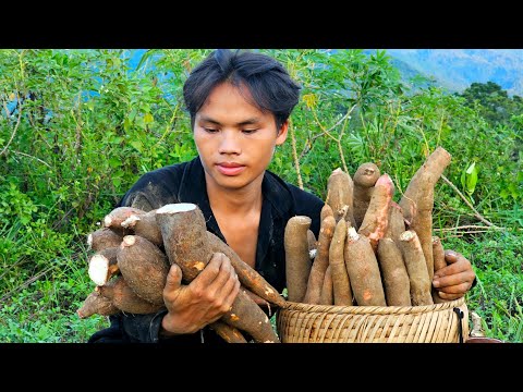 Rural life: Digging cassava to sell at the market and making cassava cakes with my grandfather.