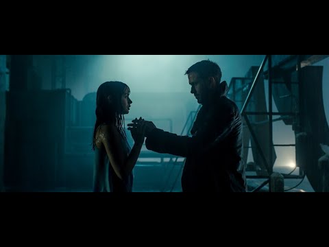 Blade Runner 2049 - Mr.kitty – Destruction Of Us